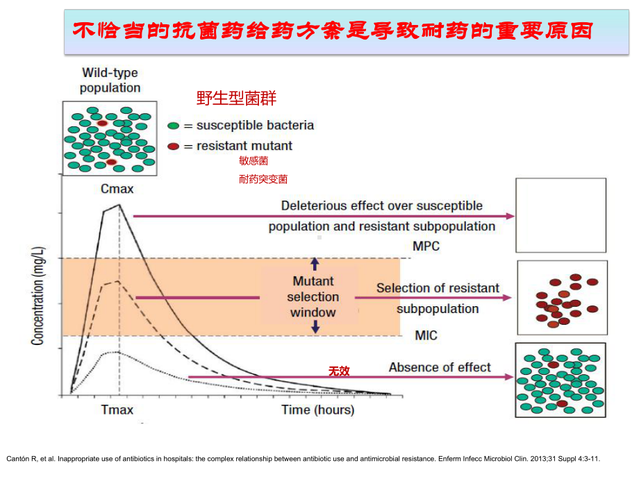 PKPD理论及其应用课件.pptx_第3页