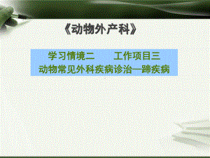 动物常见外科疾病诊治-—蹄疾病课件.ppt