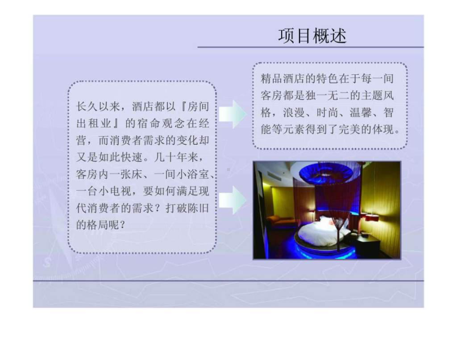 主题精品酒店投资计划书-PPT.ppt_第3页