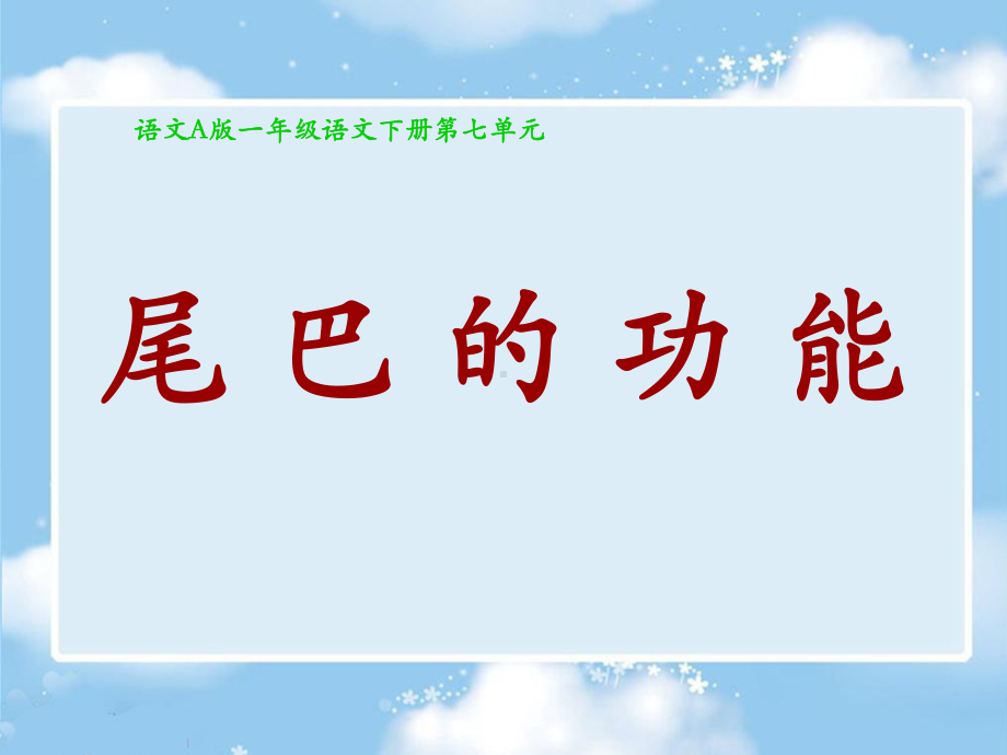 尾巴的功能全面版课件.ppt_第1页