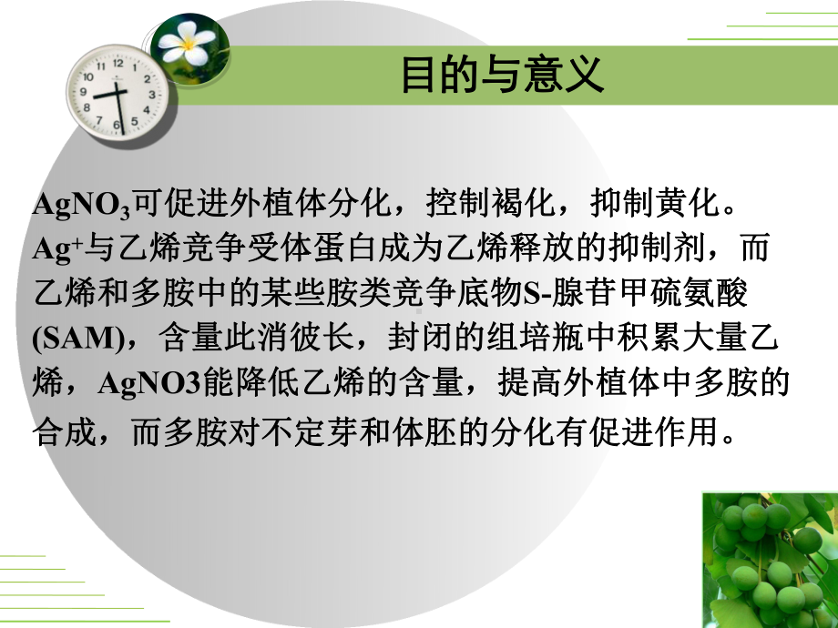 AgNO3对银杏胚愈伤组织诱导及分化的影响课件.ppt_第3页