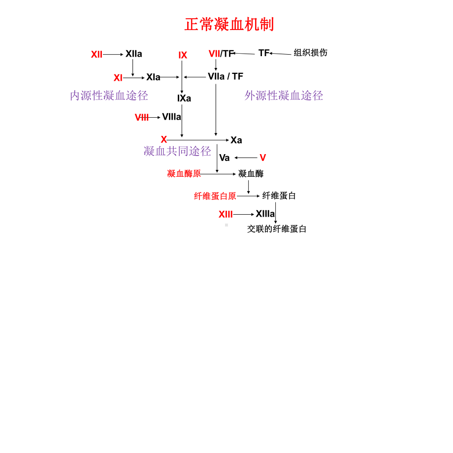 少见类型的先天性出血性疾病课件.pptx_第3页