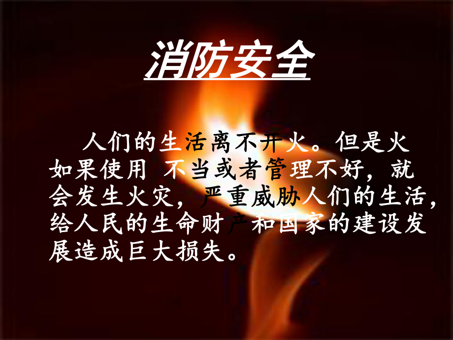 动物园消防安全-PPT课件.ppt_第2页