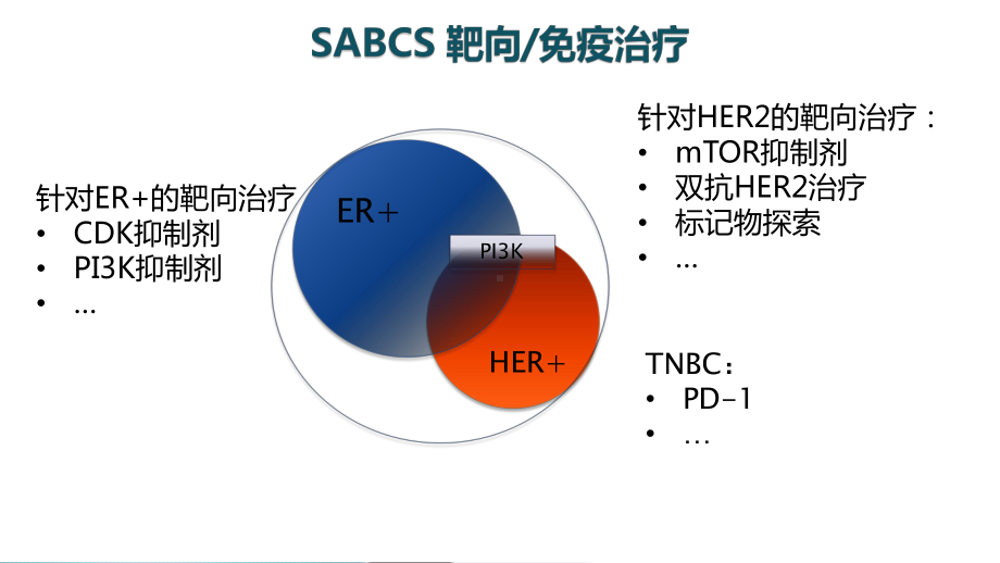 SABCS-靶向治疗进展课件.pptx_第2页