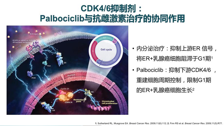 SABCS-靶向治疗进展课件.pptx_第3页