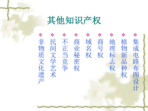 其他知识产权-PPT课件.ppt