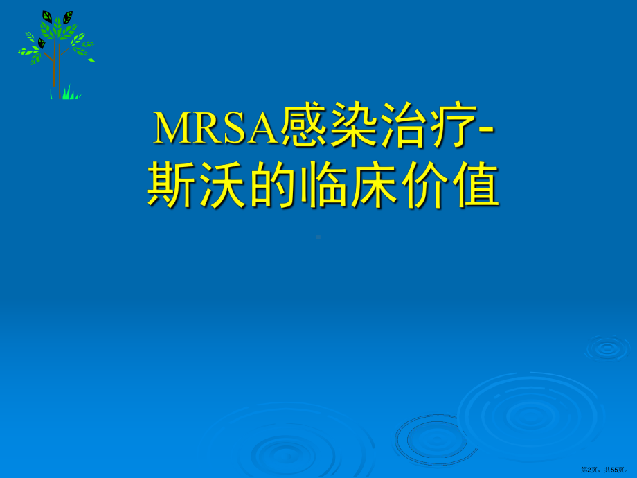 MRSA感染治疗新药物和新策略课件(PPT 55页).pptx_第2页