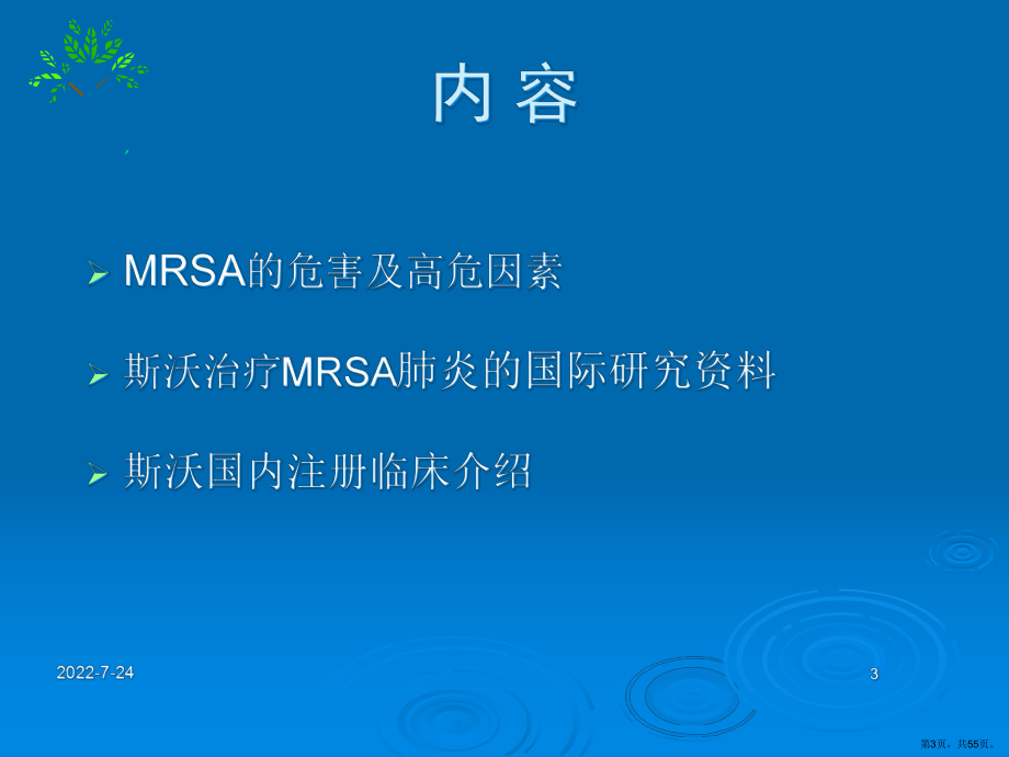 MRSA感染治疗新药物和新策略课件(PPT 55页).pptx_第3页