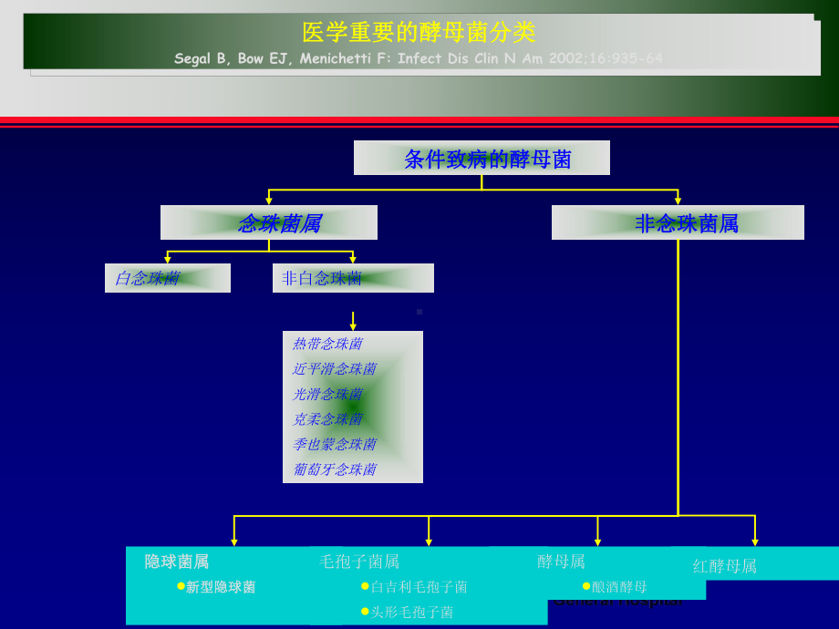 肺部少见真菌病的治疗课件.ppt_第2页