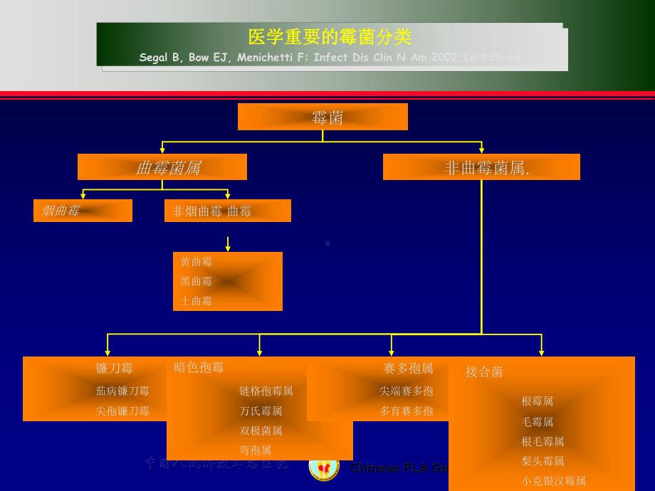 肺部少见真菌病的治疗课件.ppt_第3页