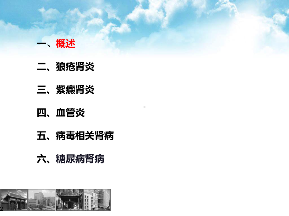 继发性肾脏病课件.ppt_第2页