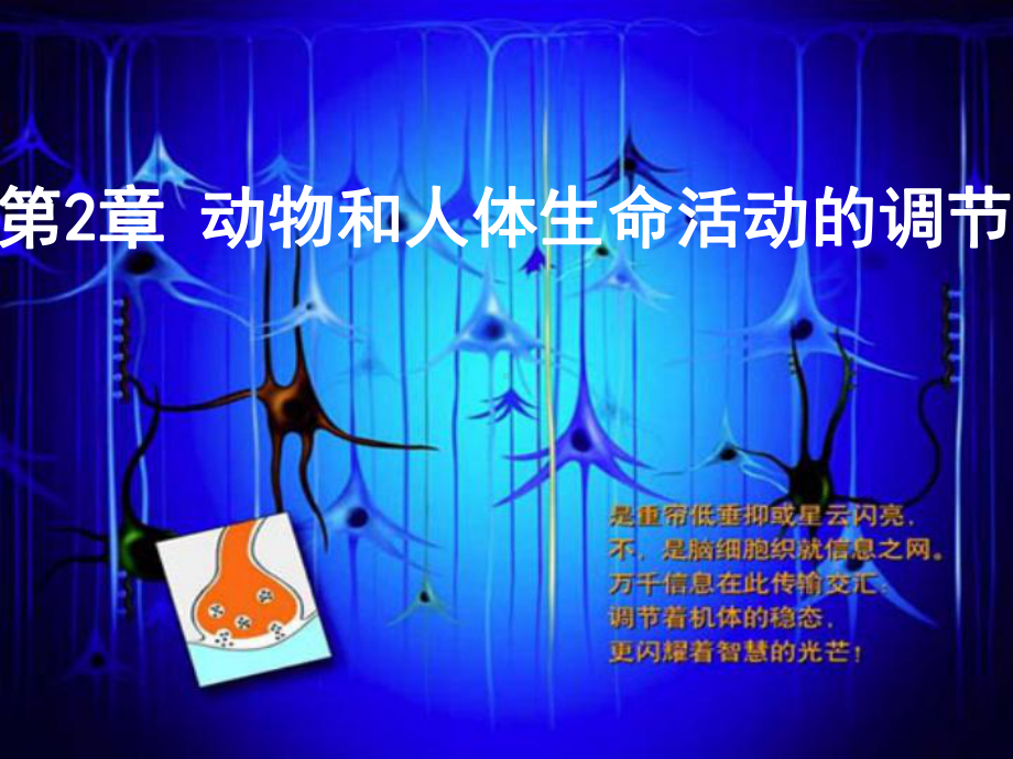 通过神经系统的调节幻灯片课件.ppt_第2页