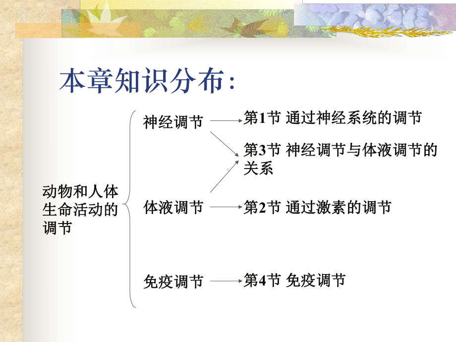 通过神经系统的调节幻灯片课件.ppt_第3页