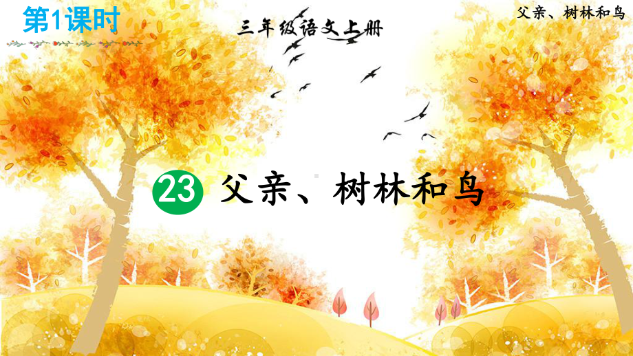 小学语文统编版三年级上册23 父亲、树林和鸟 课件 （44页）.pptx_第2页