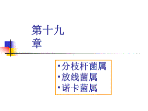 《医学免疫学与医学微生物学》课件第十九章分枝杆菌、放线菌、诺卡菌属.ppt