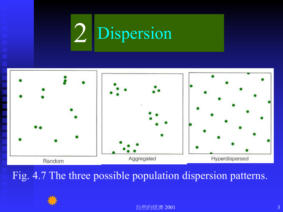 族群与群落生态学课件.ppt_第3页