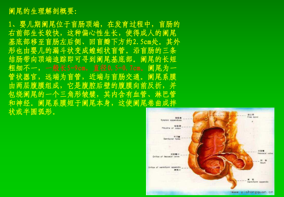 阑尾炎超声诊断共29页PPT资料课件.ppt_第1页