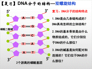 新教材《DNA的复制》PPT完整版人教版1课件.ppt