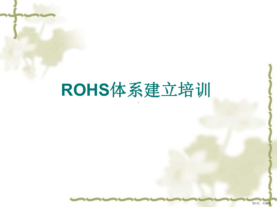 ROHS体系建立培训讲义.ppt_第1页