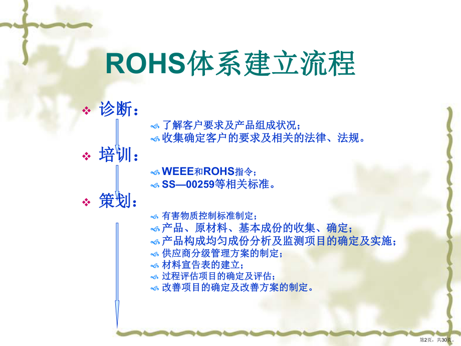 ROHS体系建立培训讲义.ppt_第2页