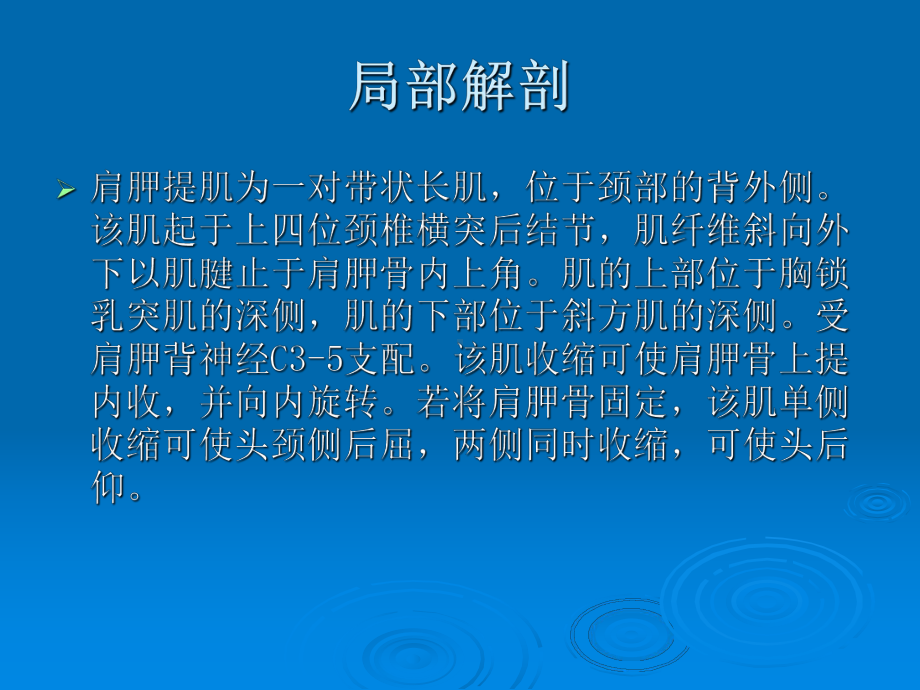 肩胛提肌损伤课件.ppt_第3页