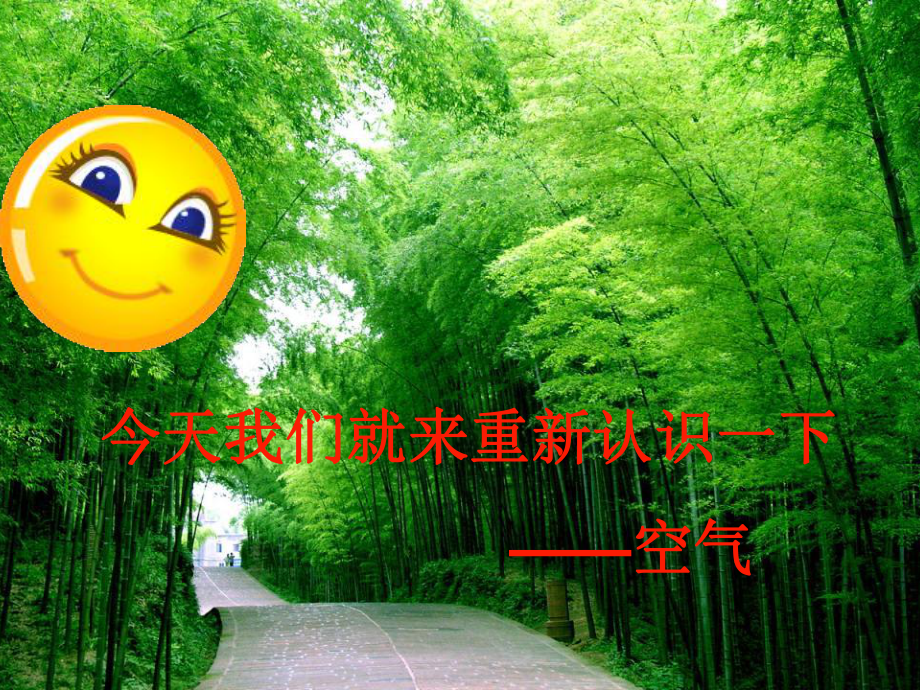 课题1空气-优质课件.ppt_第2页