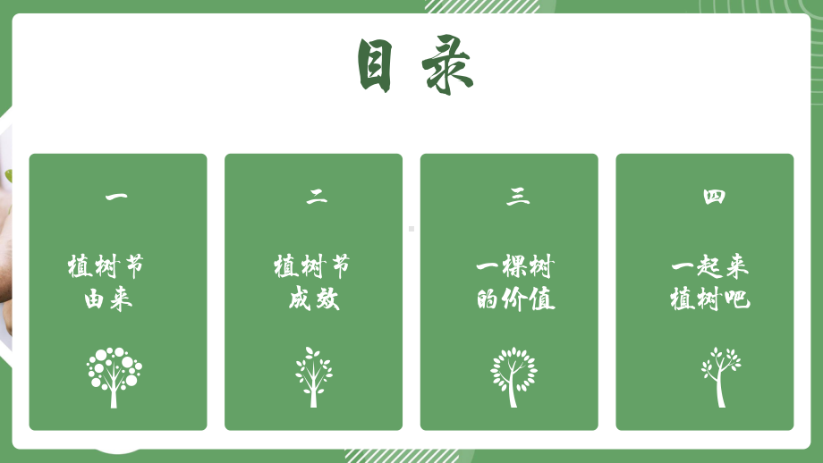 3月12日植树节节日介绍（ppt课件）-小学生主题班会.pptx_第2页