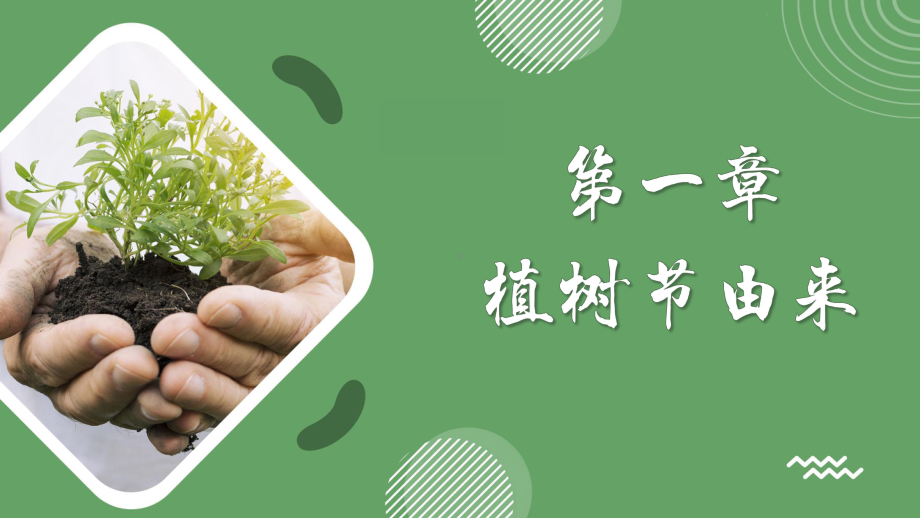 3月12日植树节节日介绍（ppt课件）-小学生主题班会.pptx_第3页