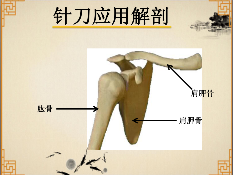 胸小肌损伤课件.pptx_第2页