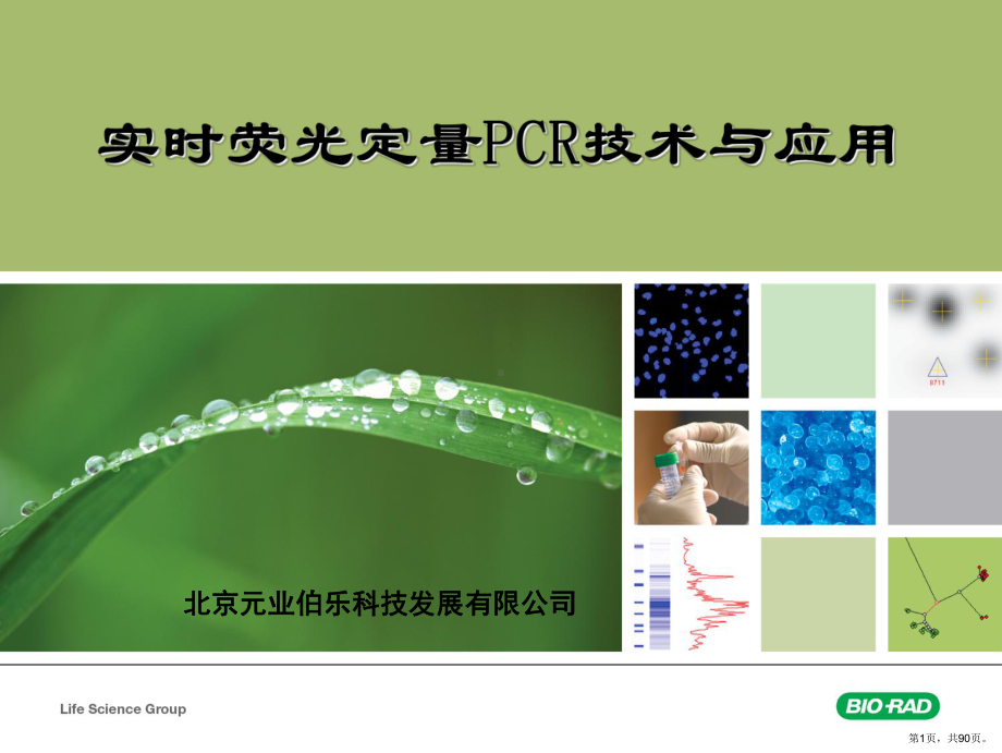 RealtimePCR简介课件(PPT 90页).pptx_第1页