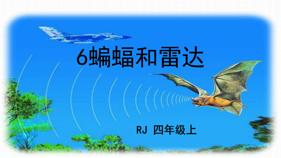 部编版四年级上册语文 6 蝙蝠和雷达课件(35页)-1.pptx_第2页