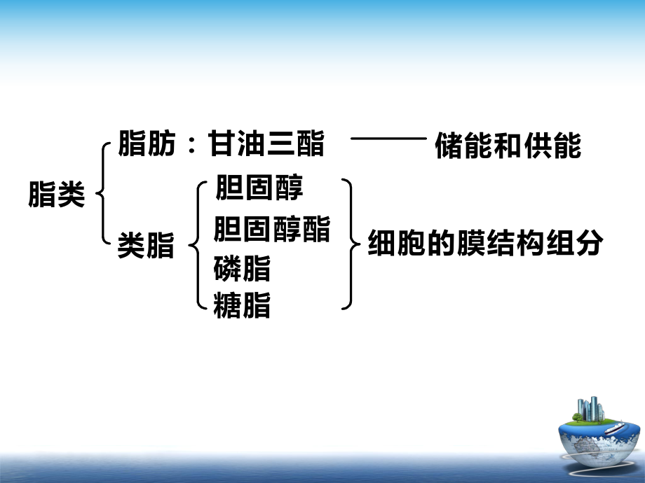 脂酰CoA合成酶课件.ppt_第2页