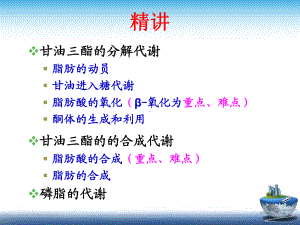 脂酰CoA合成酶课件.ppt