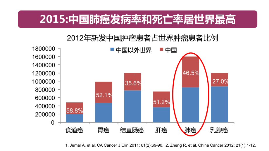 肺癌个体化精准治疗课件.pptx_第2页