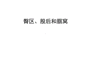 臀区股后区腘窝课件.ppt