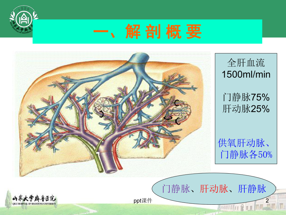 门脉系统解剖及门脉高压病理生理-ppt课件.ppt_第2页