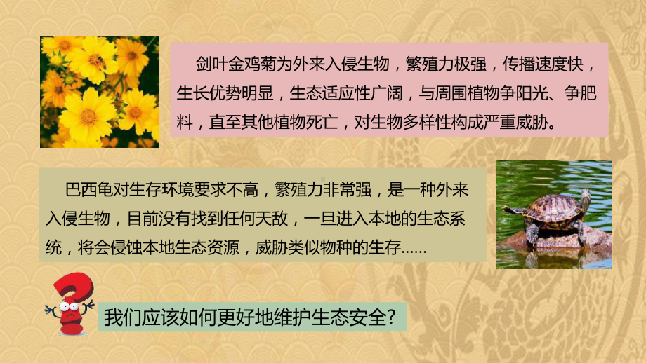 2021年《维护国家安全》PPT课件优选演示.pptx_第3页