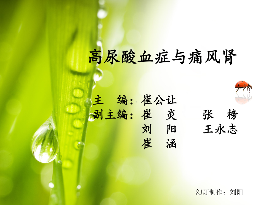 高尿酸血症与痛风肾课件.ppt_第1页