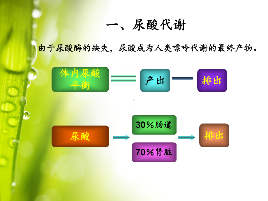 高尿酸血症与痛风肾课件.ppt_第3页