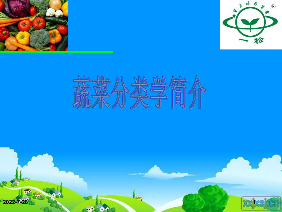 蔬菜分类方法简介-PPT课件.ppt_第1页