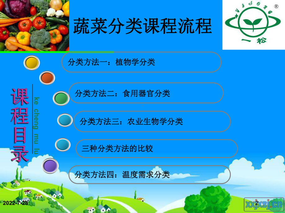 蔬菜分类方法简介-PPT课件.ppt_第2页