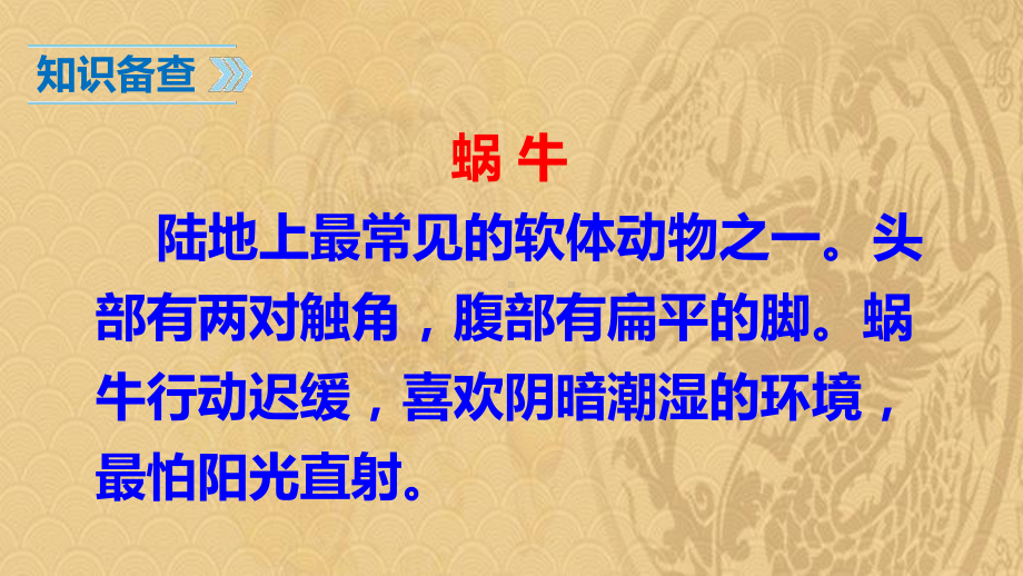 2021年《小蜗牛》PPT精品课件优选演示.pptx_第3页