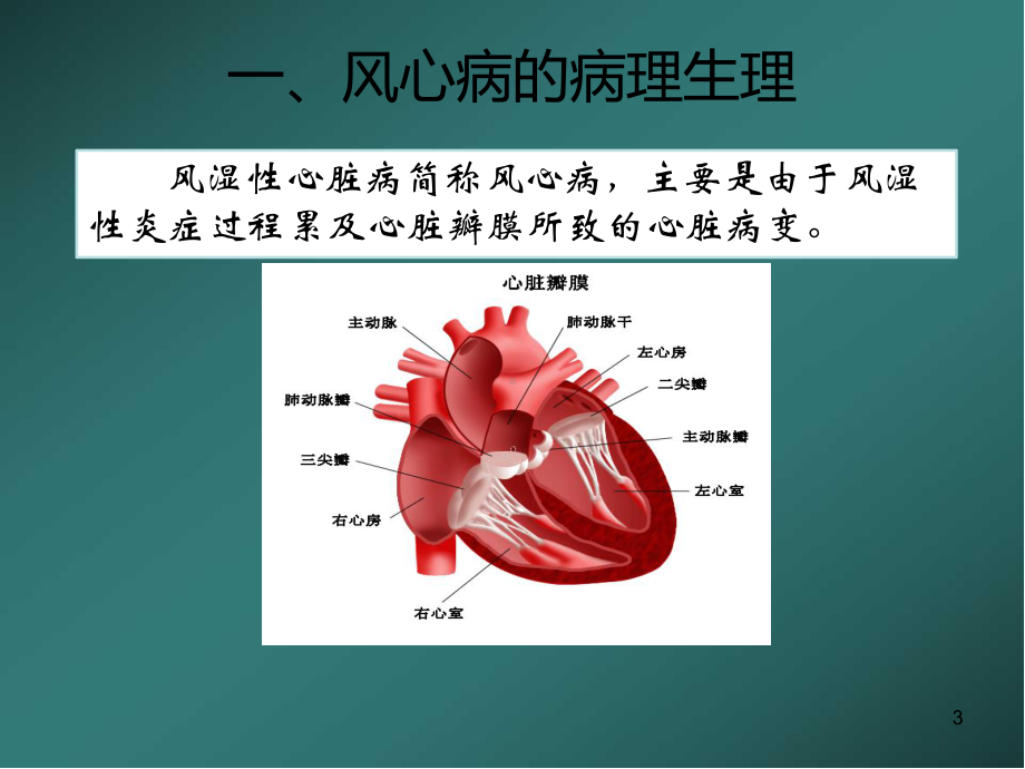 风湿性心脏瓣膜病的护理医学PPT课件.ppt_第3页