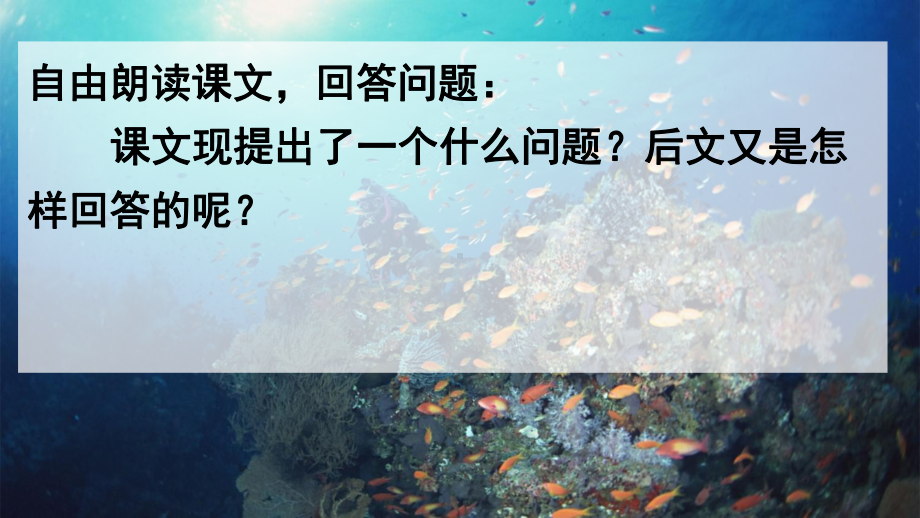 部编版三年级下册语文 23 海底世界课件 （共23页）.ppt_第3页