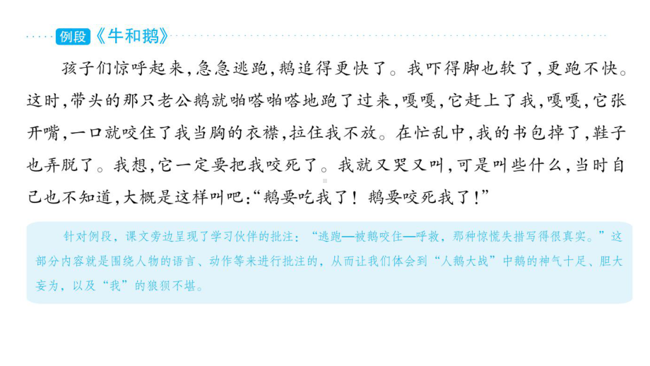 部编版语文四年级上册单元主题阅读第六单元成长故事课件（66页).pptx_第2页