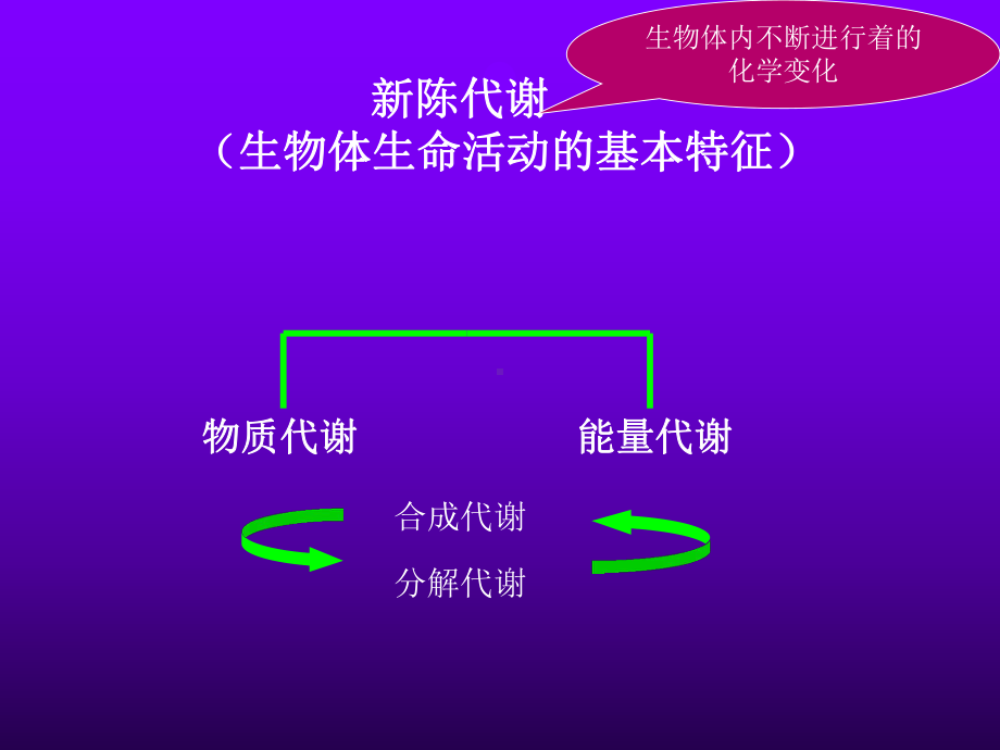 运动生化化学-第一章PPT课件.ppt_第2页