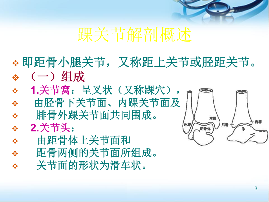 踝关节影像解剖医学PPT课件.ppt_第3页