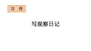 语文四年级上册习作三写观察日记课件（24页).pptx