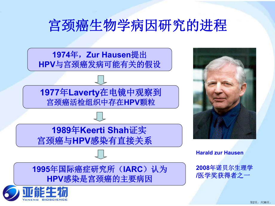 HPV与宫颈癌病理课件(PPT 36页).pptx_第2页