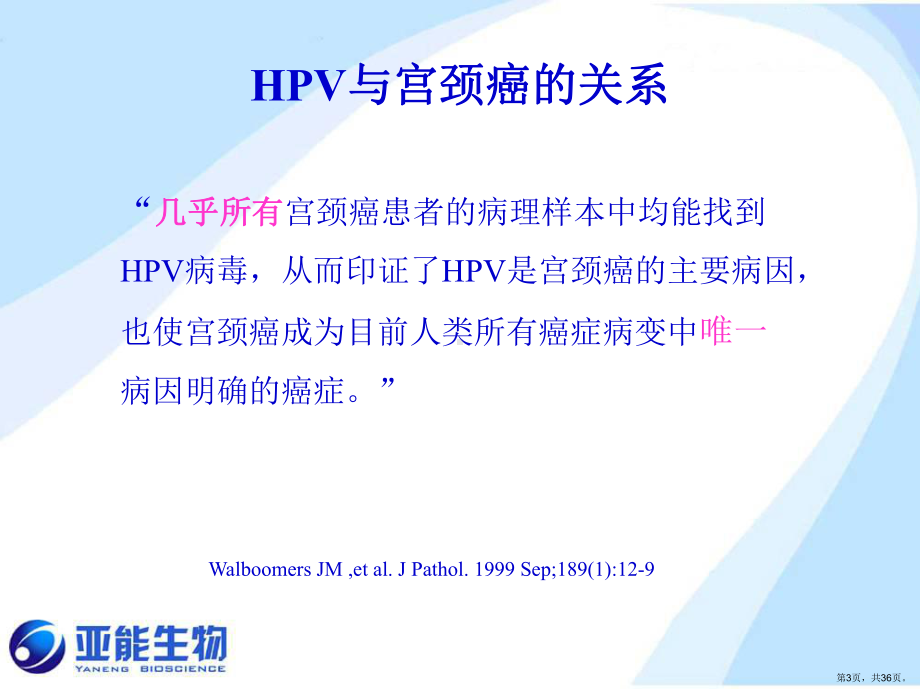 HPV与宫颈癌病理课件(PPT 36页).pptx_第3页